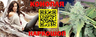 стаф Апшеронск