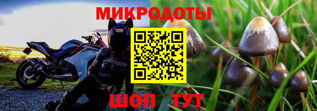 Галлюциногенные грибы ЛСД  где купить наркоту  Владикавказ  Вход с VPN 